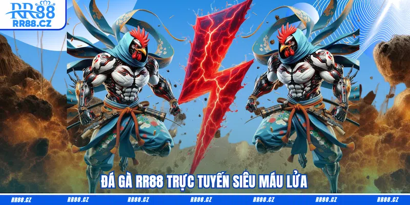 Đá gà RR88 trực tuyến siêu máu lửa